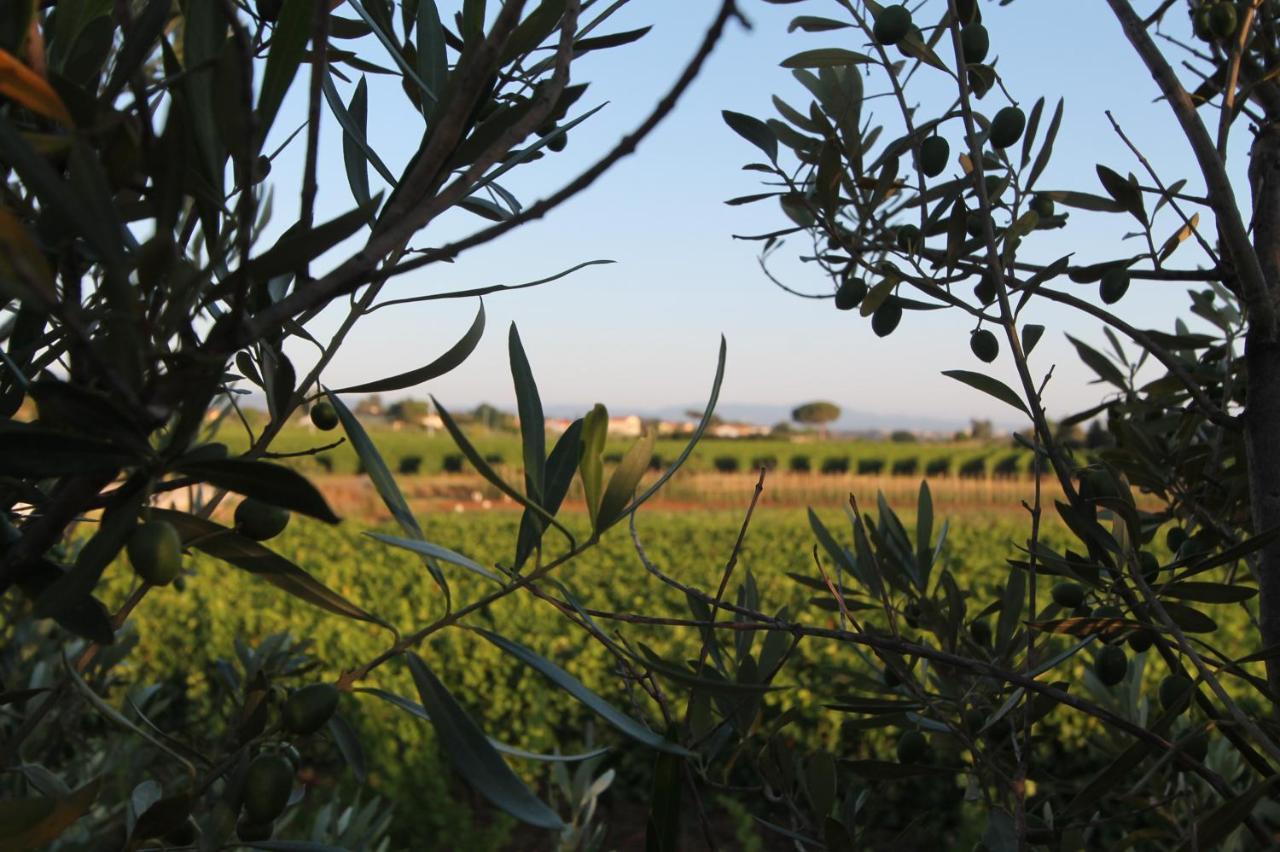 Agrihotel Elisabetta Collemezzano Dış mekan fotoğraf